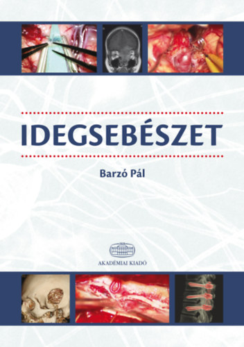 Barz� P�l - Idegseb�szet