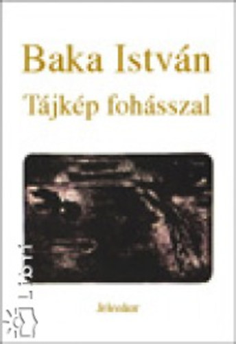 Baka István - Tájkép fohásszal
