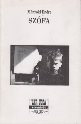 Mányoki Endre - Szófa