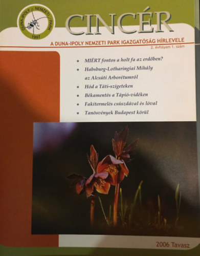 K�zdy P�l - Cinc�r 2. �vf. 1. sz�m (2006 tavasz)