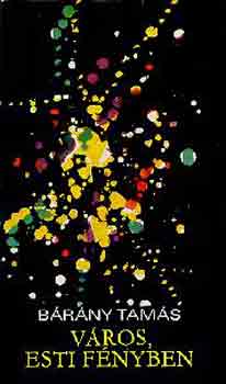 B�r�ny Tam�s - V�ros, esti f�nyben