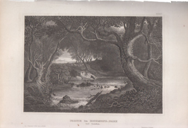 Partie im Richmond-Park (Richmond-Park, London, Anglia, Eurpa) (16x23,5 cm mret eredeti aclmetszet, 1856-bl)