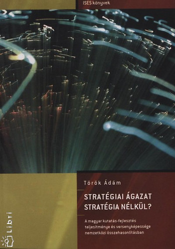 T�r�k �d�m - Strat�giai �gazat strat�gia n�lk�l?