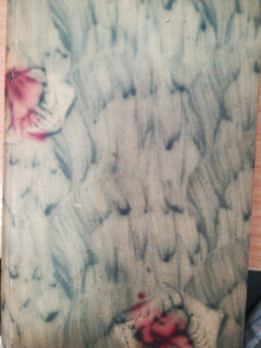 Irói arczképek IV.