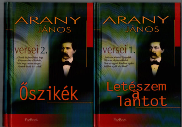 Arany Jnos - Arany Jnos versei 1-2. (szikk, Letszem a lantot)