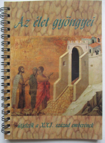 Kató Csaba; Kató Zsolt (szerk.) - Az élet gyöngyei (Útjelzők a XXI. század emberének)