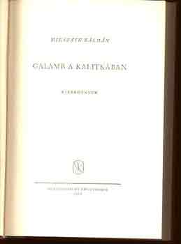 Miksz�th K�lm�n - Galamb a kalitk�ban