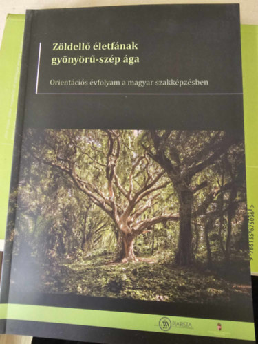Zöldellő életfánk gyönyörű-szép ága (Orientációs évfolyam a magyar szakképzésben)