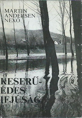 Martin Andersen Nexő - Keserű-édes ifjúság