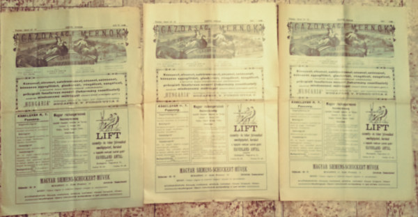 Ifj. Gonda Béla (főszerkesztő) - Gazdasági Mérnök XXVIII. évf. 36-44 (8db)