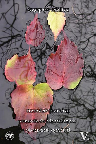 Szepes Erika - Tizenhét szótag - Esszék és elemzések