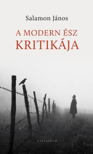 Salamon J�nos - A modern �sz kritik�ja