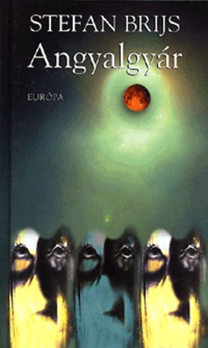 Stefan Brijs - Angyalgy�r