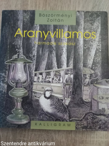 B�sz�rm�nyi Zolt�n - Aranyvillamos