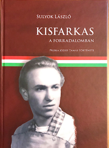 Sulyok Lszl - Kisfarkas a forradalomban