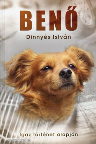 Dinny�s Istv�n - Ben� - Igaz t�rt�net alapj�n