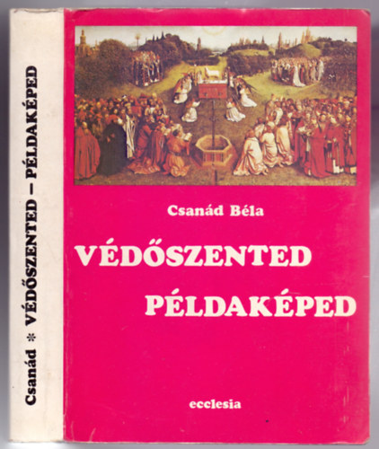 Csan�d B�la - V�d�szented - p�ldak�ped (125 szent r�vid �letrajza �s t�rt�nete - II. kiad�s)