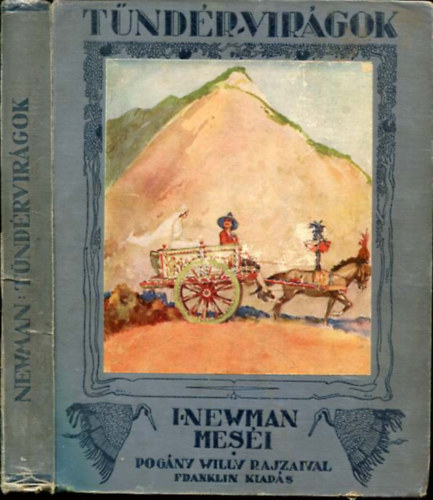 Pogny Willy  Isodora Newman (Illusztrtor) - Tndr-Virgok - regk a virgok letbl