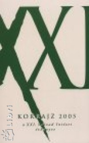 Korrajz 2005. - A XXI. század intézet évkönyve
