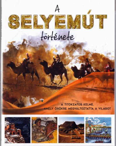 Wang Xuejun - A selyemt trtnete