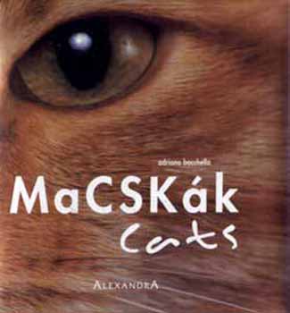 Adriano Bacchella - Macskk - Cats