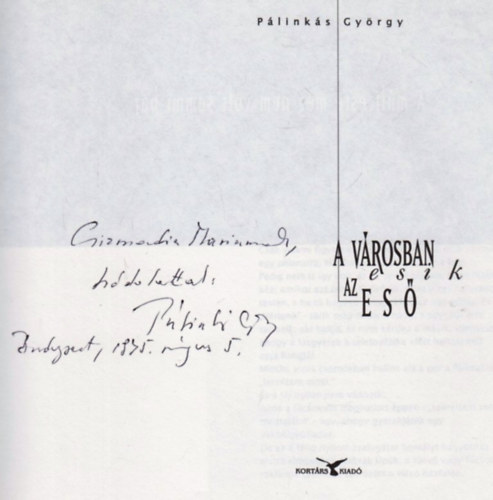 Pálinkás György - A városban esik az eső
