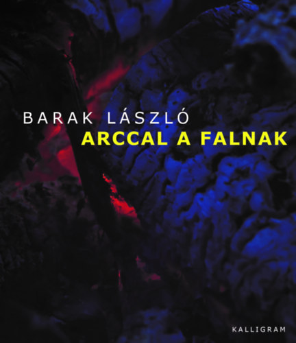 Barak L�szl� - Arccal a falnak