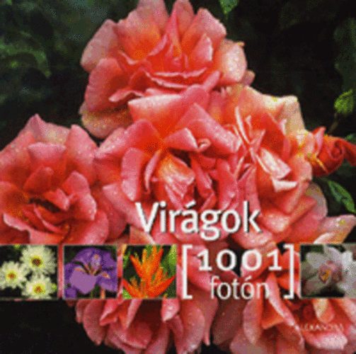 Michel Viard - Virgok 1001 fotn