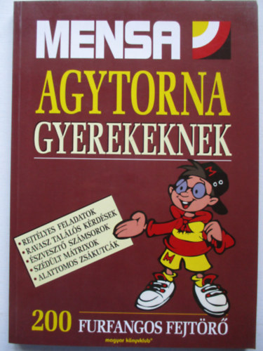 Robert Allen - Agytorna gyerekeknek