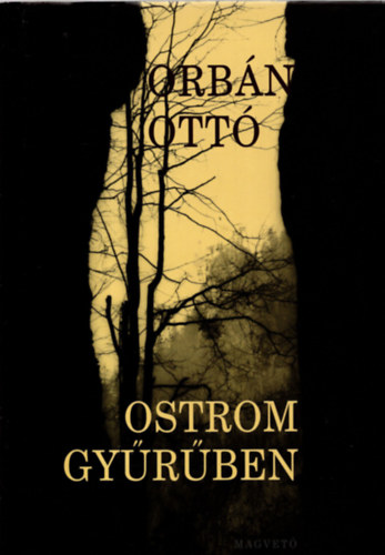 Orbn Ott - Ostrom gyrjben