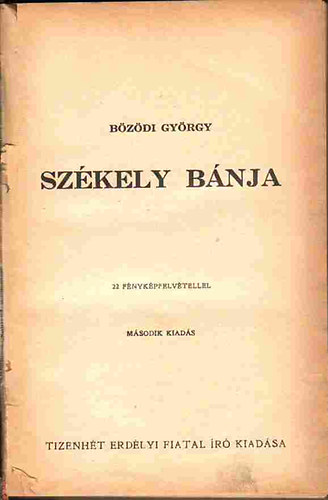 Bzdi Gyrgy - Szkely bnja