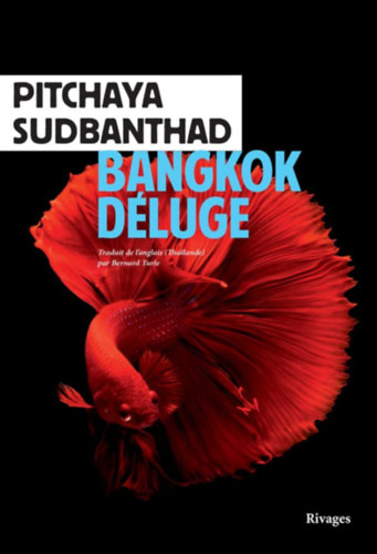 Pitchaya Sudbanthad - Bangkok D�luge