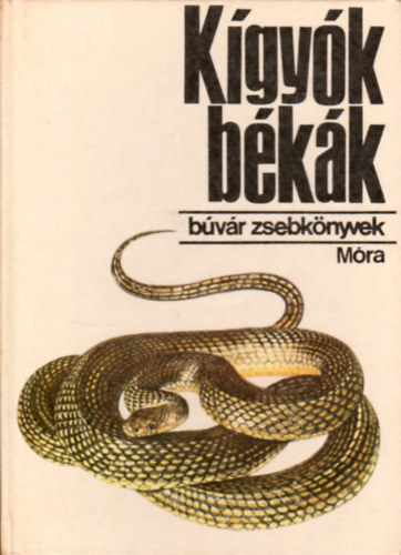 Janisch-Breznay - Kgyk, bkk (Bvr zsebknyvek)