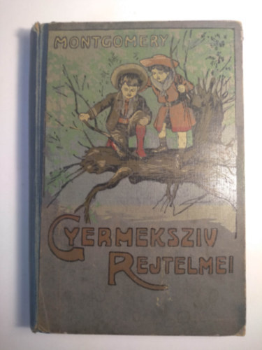 Florence Montgomery - Gyermekszv rejtelmei (j, kpes kiads) (Gor Lajos eredeti rajzaival)