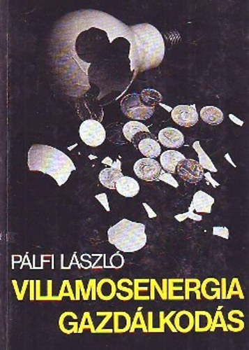 P�lfi L�szl� - Villamosenergia gazd�lkod�s