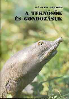 P�nzes Bethen - A tekn�s�k �s gondoz�suk