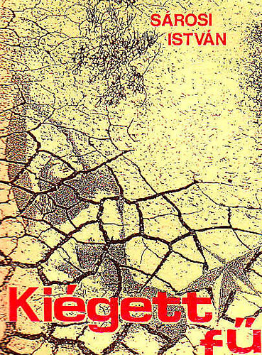 S�rosi Istv�n - Ki�gett f�