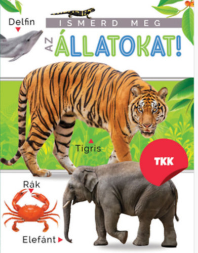 Ismerd meg az állatokat!