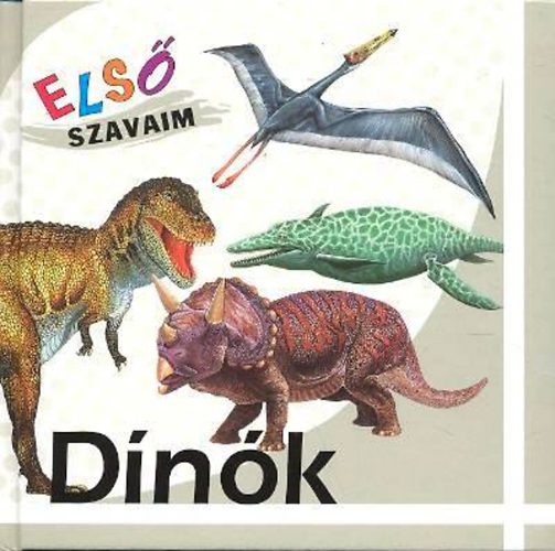 Dnk - Els szavaim