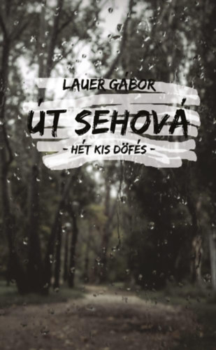 Lauer Gbor - t sehov - Ht kis dfs