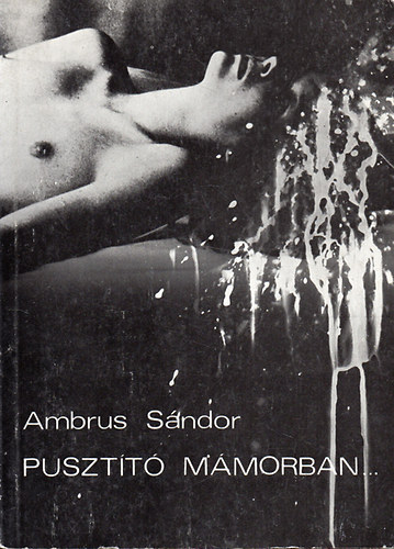 Ambrus S�ndor - Puszt�t� m�morban