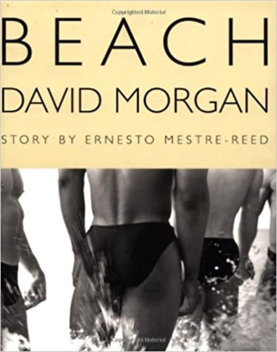 Ernesto Mestre-Reed David Morgan - Beach