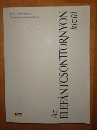 Az elefántcsonttornyon kívül (Az MCC Műhelytagság Programjának zárótanulmányai)