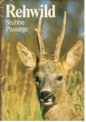 Stubbe-Passarge - Rehwild
