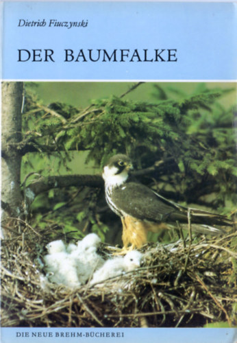 Dietrich Fiuczynski - Der Baumfalke (Falco subbuteo)