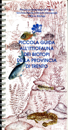 Piccola Guide All'ittiofauna dei biotopi della provincia di Trento