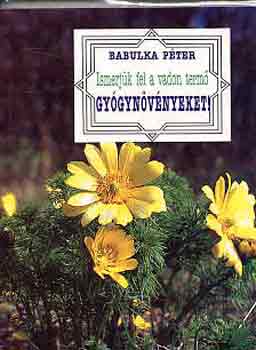 Babulka Pter - Ismerjk fel a vadon term gygynvnyeket!