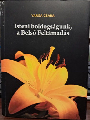 Varga Csaba - Isteni boldogságunk, a Belső Feltámadás