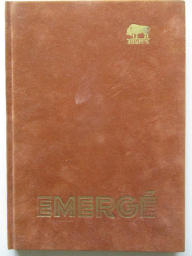 Az emergé első 25 éve