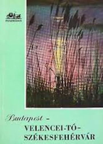 Huba Lszl - Budapest - Velencei-t - Szkesfehrvr